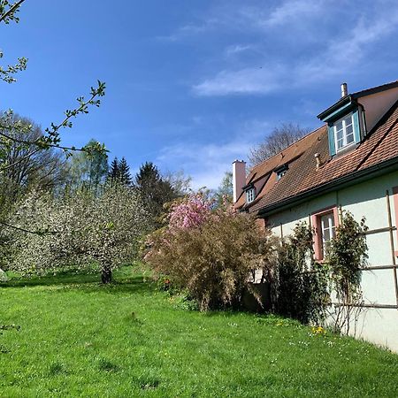 Ferienwohnung In Historischer Muehle Buchen  Eksteriør bilde